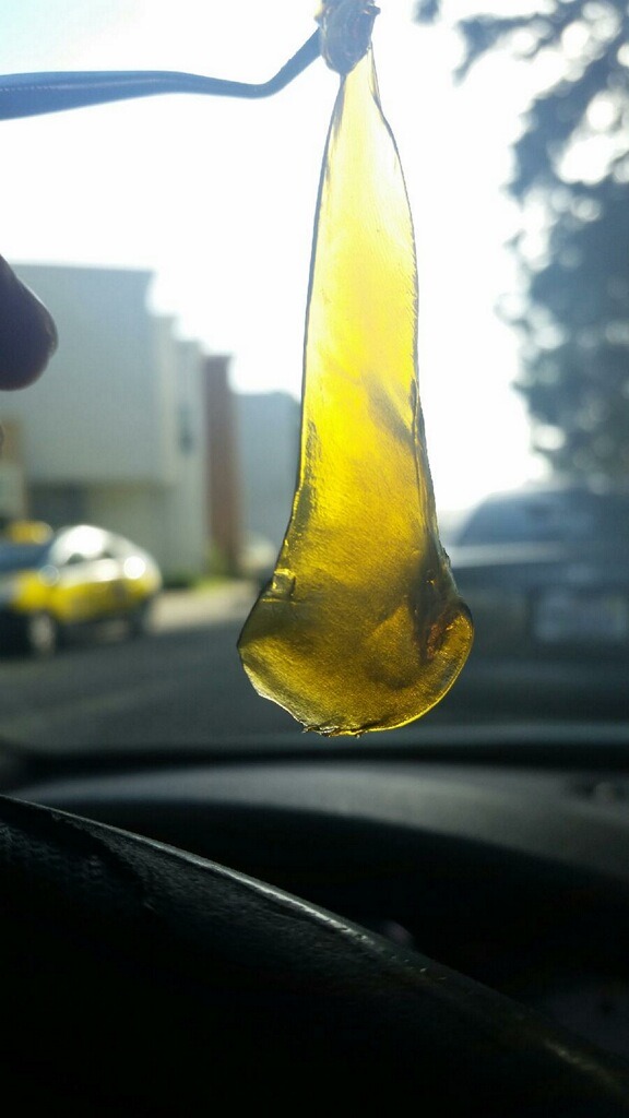 reeferkitten:  thin mint. 