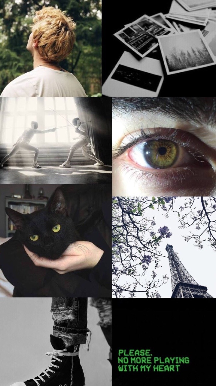 Featured image of post The Best 21 Chat Noir Aesthetic Wallpaper Collage