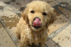 the-personal-quotes:  feeling sad? you need this blog on your dash!