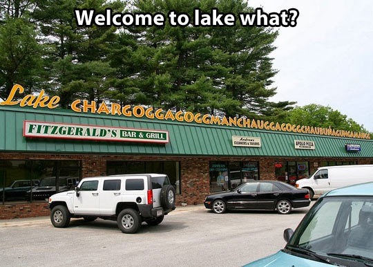 srsfunny:  Welcome to the lake…http://srsfunny.tumblr.com/  What the fucking fuck&hellip;.