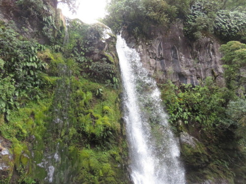 chesterlampkin: Dawson Falls, in the Taranaki region of #NewZealand. March 2016