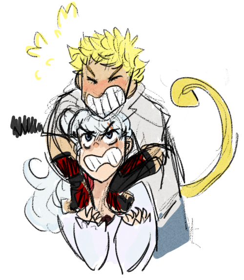 sketchalamew:  you know what ship i’ve never seen kicking around?