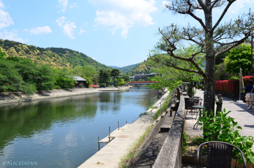 Uji 宇治市2015年05月02日