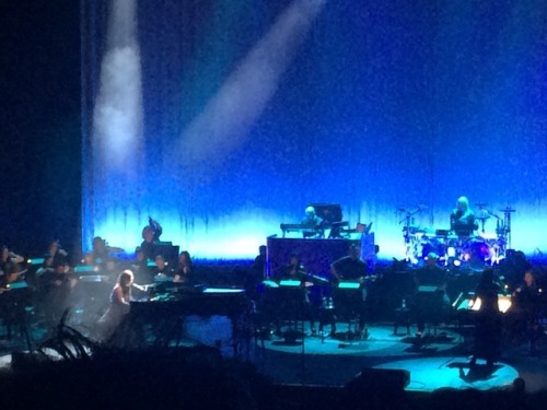 Magical performance at the Royal Festival Hall London (30th march) watching the amazing @AmyLeeEV an