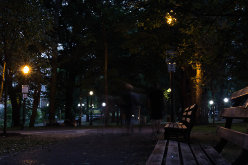 9pm, South Park Blocks, Portland, Oregon. Instagram - Flickr 
