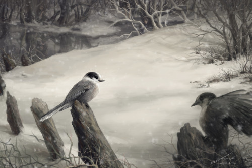 “The Watchers” by Jeszika Le VyeI am excited to participate in the Bird Whisperer Project for the fi