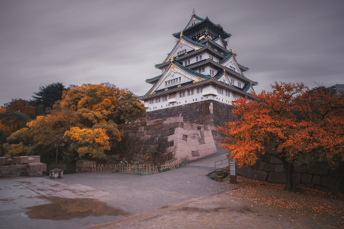 carmen-art:Osaka Castle 