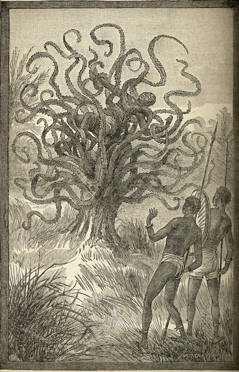 The Fearsome Man Eating Tree of Madagascar, 1874On April 28th, 1874 the New York World publishe