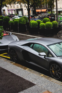 black-luxury:  Black Luxury! 