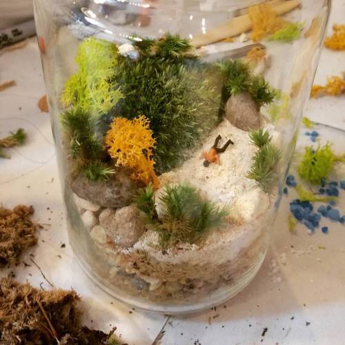 Heat stroke.   #terrariums #plant #miniature #moss...