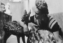 When Frida Met Bambi.