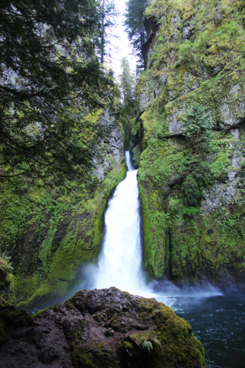 quiet-nymph: ◈ Pacific Northwest photography by Michelle N.W. ◈ ◈ Print Shop ◈ Blog ◈ Flickr ◈ ◈ Ple