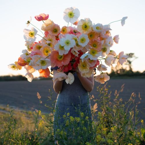 floralls:by Erin Benzakein 