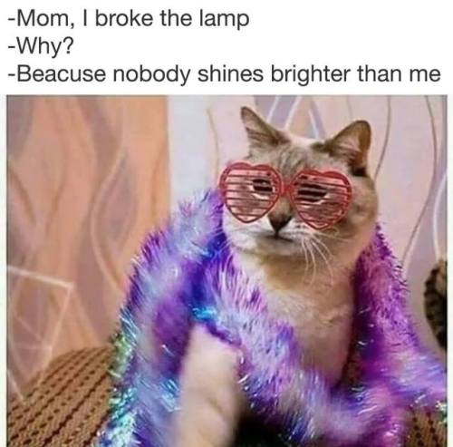 When Your Sun/Moon/Venus Is In Leo