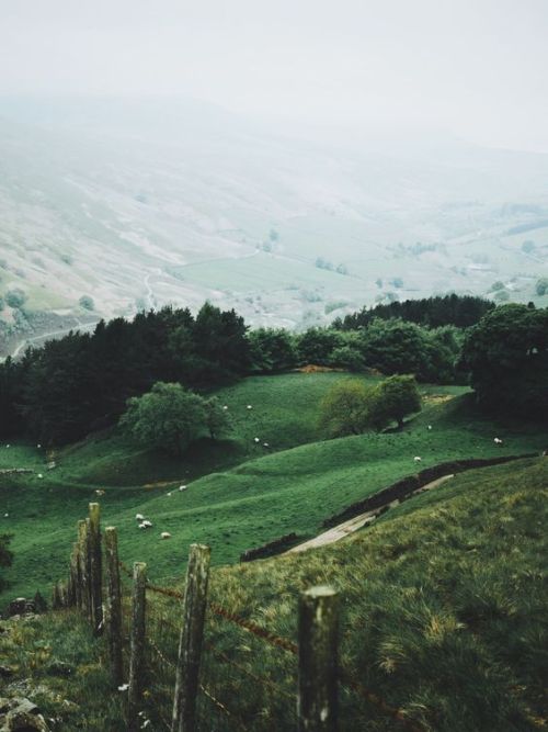 eyeleaves:Daniel Casson, Upper Derwent Valley, Ireland. 2019 post corona views I want