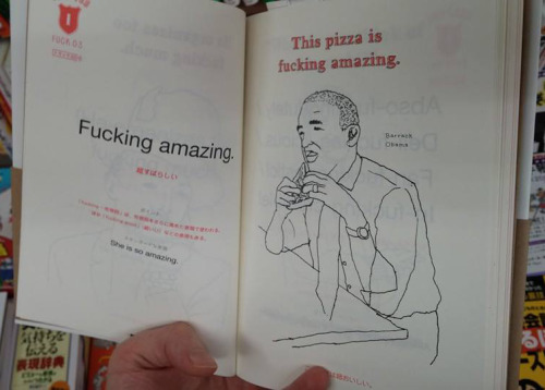 uglyfun:eggpunk:my friend in japan found a really cool bookjapan is more knowledgable about our curs