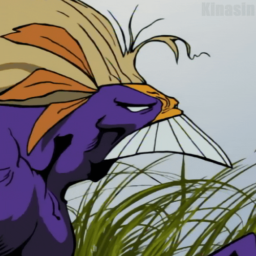 The Maxx