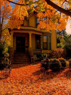 witchbaer:  UGH I WANNA LIVE HERE 🍁🍂🍁🍂🍁🍂🍁🍂🍁🍂🍁