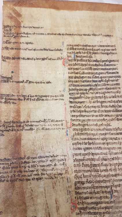 LJS 35 - Manuscript leaves from a canon law textSometimes even a couple of leaves can tell us so muc