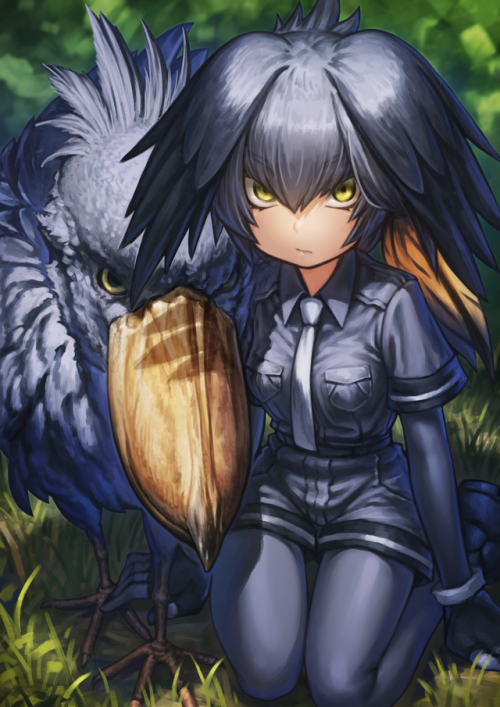 ハシビロコウ/ Shoebill