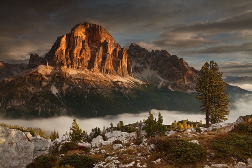 archatlas:Fairy Dolomites Daniel Řeřicha