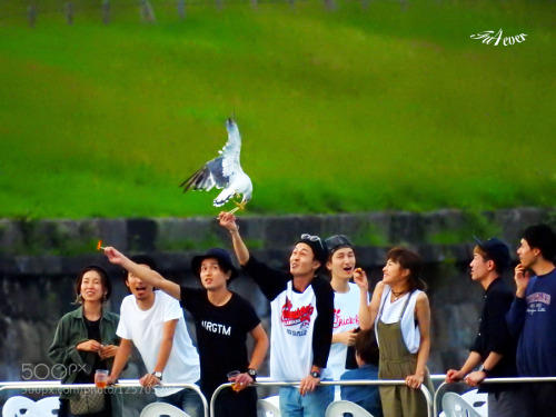 travelsphotos:  The Catch by fu4ever8888
