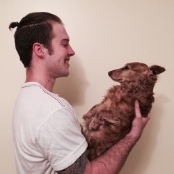 disgustedsigh:  mashable:Man buns are out, dog buns are in.  yungmoolahbb