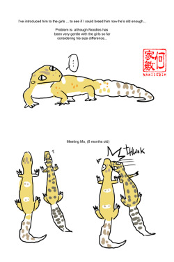 naniiebim:  Supergiant Battle gecko stories pt 2 Pt 1 To be continued! Naniiebim SHOP- comics, books, merchandise by Naniiebim 