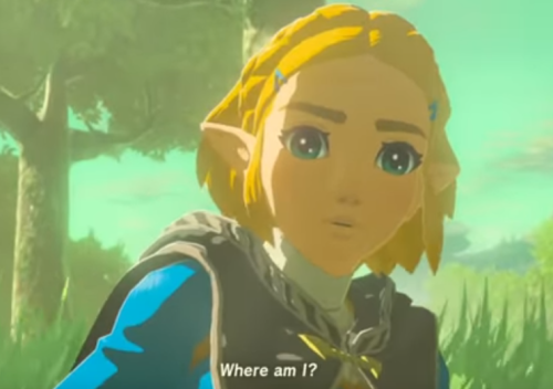 Princess Zelda from "Legend of Zelda: Tears of the Kingdom" after regaining consciousness in a meadow with a shocked, confused expression. The text reads "where am I?"