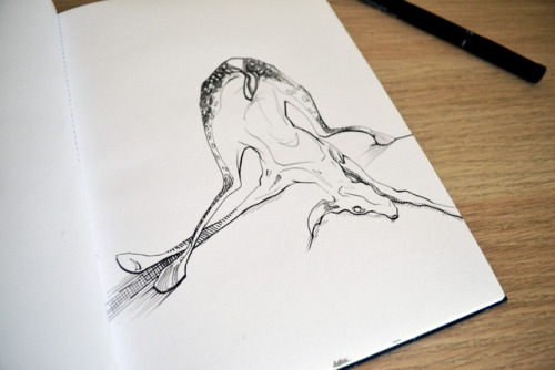 Decided to subvert the word today by taking a graceful fawn and putting it into an awkward position 
