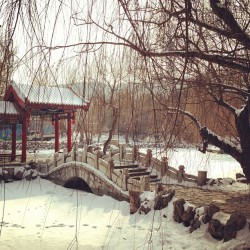 siaodynasty:  Really cold today. -13C #Dalian