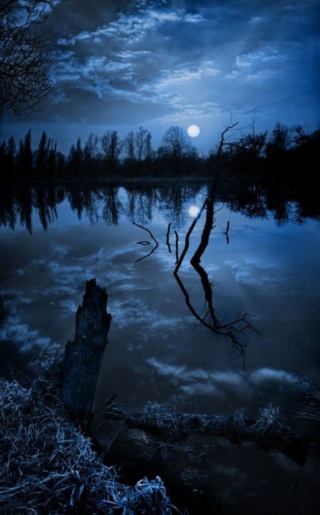 coiour-my-world:moon shadow