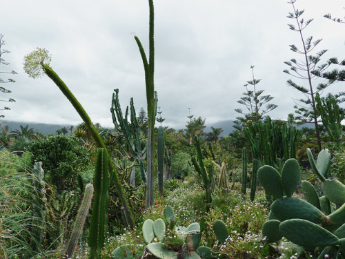 contemporary-photography-blog:By Stephan Widera