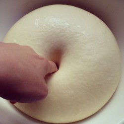 molly-ren: sasaq:  (via あやの @ayanolloon | Websta)   Sometimes I want to tell everyone about my cool sexual needs and then this happens. We’re literally excited by dough balls. 