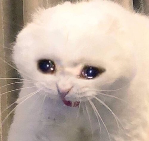 Watching The Wave And Illusion Music Videos, A Moodboard