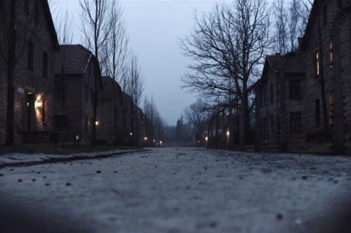 auschwitz