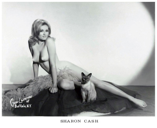 Porn Sharon Cash          aka. “The Million photos