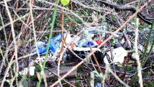 Human Nature?With regret, this is a local Nature Reserve in York. Thankfully there are other sites i