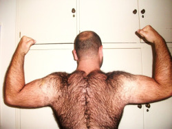 Hairy Men Heaven