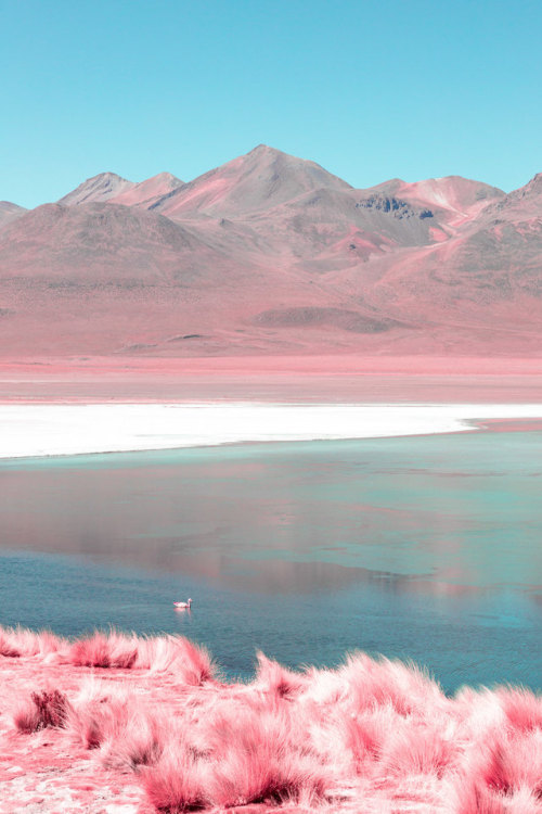 deadmugen - nevver - Infrared Lake, Paolo Pettigiani