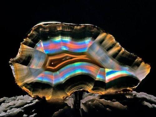 Iris or rainbow agate.This translucent form of agate (meaning it lets light through but you can&