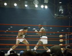 rhubarbes:  CASSIUS CLAY VS. SONNY LISTON,