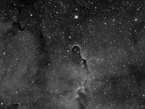 galaxyshmalaxy: Elephant Trunk Nebula, in Ha (by Daniele Malleo)