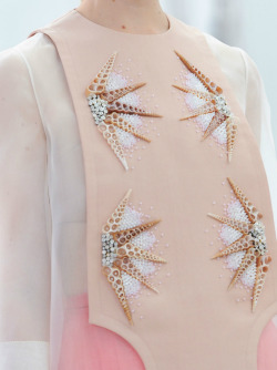 lamorbidezza:  Delpozo Spring 2015 Details 