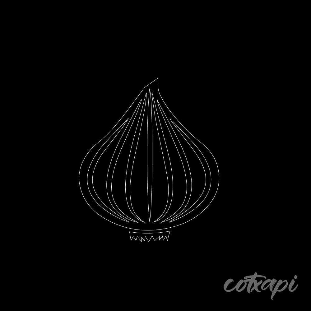 Onion Icon Set in Vector Outline Illustration