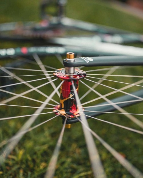 hizokucycles:#Repost from cyclist @ayeitsjoew - Who doesn’t love that red and gold? @philwoodandco .