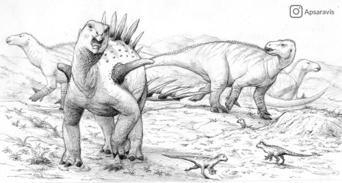 Dacentrurus and Iguanodon, pencil.