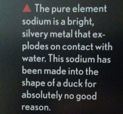 alastyearonearth:  lovecoresockhead:  alastyearonearth:  lovecoresockhead: This is the funniest thing I’ve ever read in a science book show us the duck op  the duck.  forbidden bath toy 