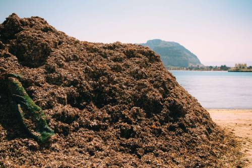 Percorrendo la spiaggia di Mondello si aprono cornici che rendono un paesaggio nuovo, improvvisament