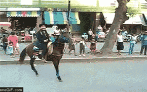 Gifsee - We ♥ Gifs 